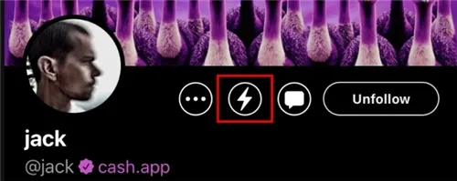 Damus与Twitter有什么区别-应用教程