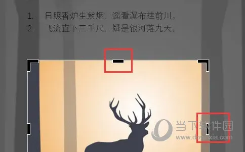 Word2021怎么剪切图片多余部分 操作方法
