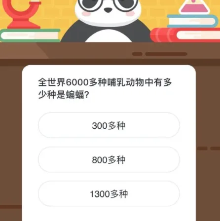 全世界6000多种哺乳动物中有多少种是蝙蝠？微博森林驿站12月30日今日答题答案-新浪微博教程