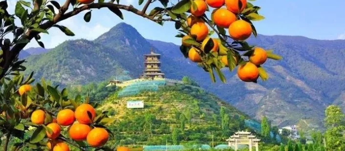 以下哪句诗描写的是秋末冬初的美景?-2023支付宝蚂蚁庄园10月27日每日一题答案(2)
