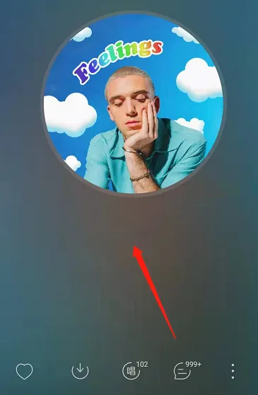 网易云音乐如何关掉歌词翻译-网易云音乐教程