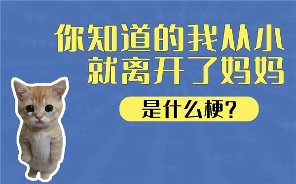 你知道的我从小就离开了妈妈是什么歌 你知道的我从小就离开了妈妈梗是什么-应用教程