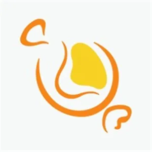可以免费聊天的脱单软件推荐 安全好用的脱单神器APP大全-应用教程