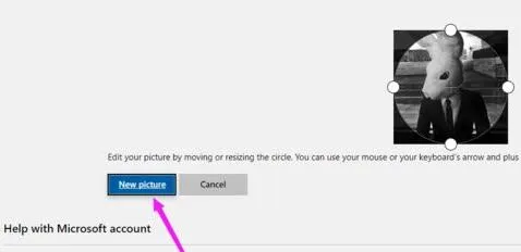 office365头像不同步解决方法-应用教程