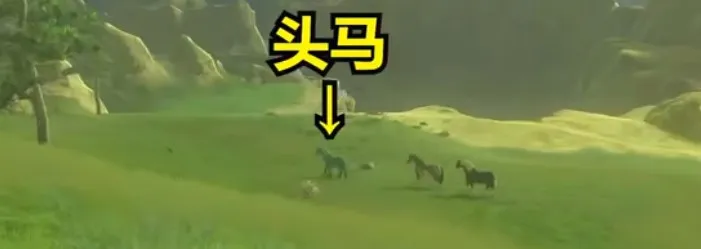 王国之泪253马在哪-王国之泪253马位置介绍