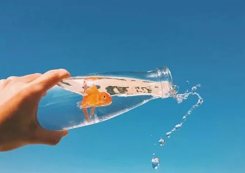 微信背景图片2023最火爆-微信教程