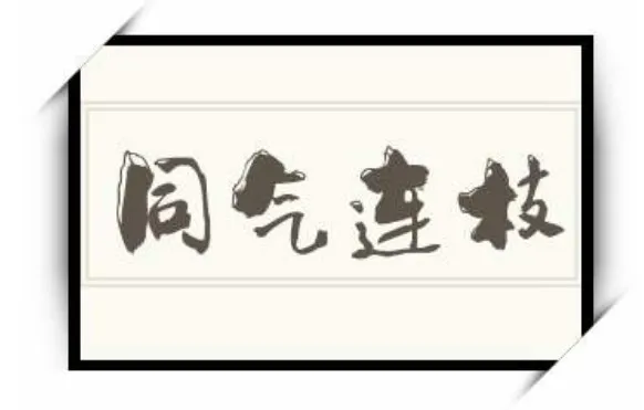 成语同气连枝更适合用来比喻以下哪种关系？呢-2023支付宝蚂蚁庄园2月21日每日一题答案(2)