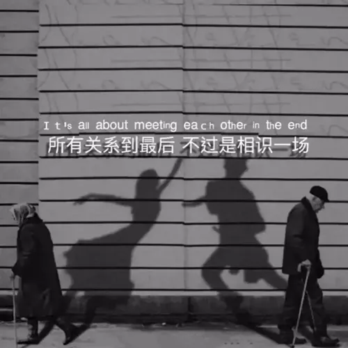 我不羡慕养鱼的女孩子我只羡慕让海王收心的女孩图片-应用教程
