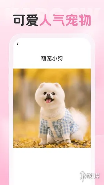 爱炫相机app下载-爱炫相机app最新版下载