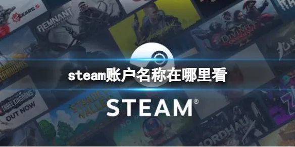 steam账户名称在哪里看-steam账户名称查看位置介绍