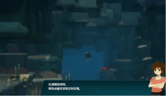 潜水员戴夫鲸鱼幼崽在哪儿 潜水员戴夫鲸鱼幼崽捕捉攻略