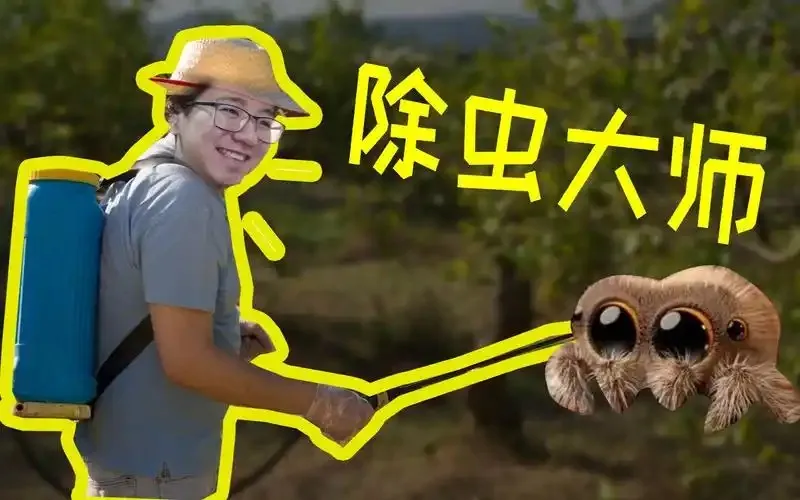 蚂蚁新村1月26日答案2025-北灭蟑螂南征白蚁是对哪个职业的生动描述