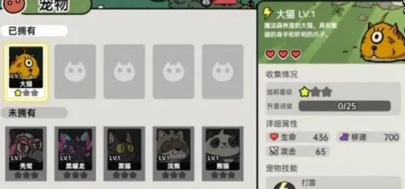 英勇之地宠物怎么附身 英勇之地手游宠物附身方法