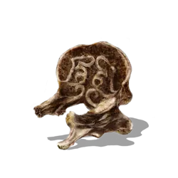 黑魂3誓约背景介绍-黑魂3誓约背景介绍一览