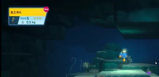 潜水员戴夫直立海马在哪 潜水员戴夫手机版直立海马位置
