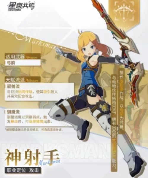 星痕共鸣养成属性攻略 星痕共鸣不同职业养成属性介绍