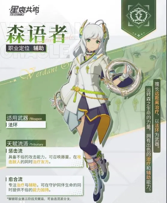 星痕共鸣职业流派玩法有哪些 星痕共鸣职业流派玩法介绍