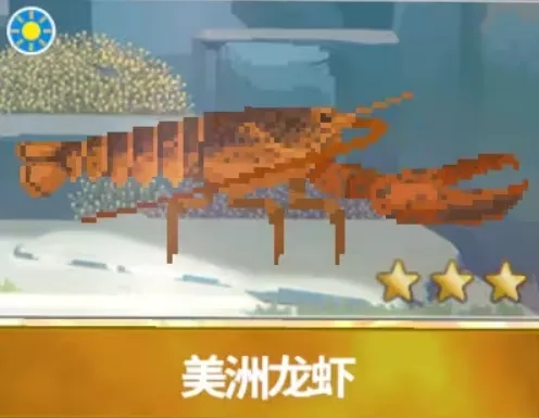 潜水员戴夫美洲龙虾介绍 潜水员戴夫手机版美洲龙虾是什么