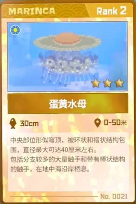 潜水员戴夫水母在哪 潜水员戴夫手机版水母位置一览