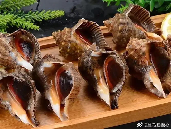 神奇海洋2月5日答案最新2025-红里子是以下哪种海洋生物的俗称