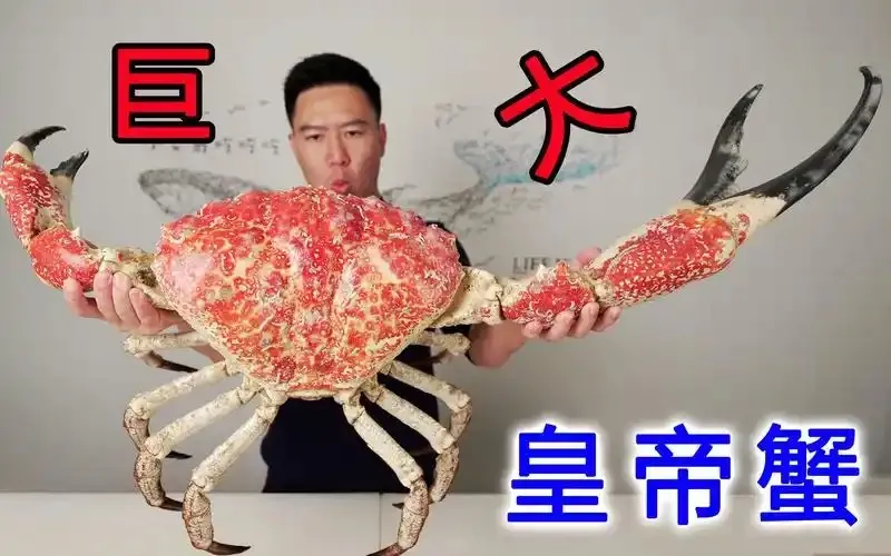神奇海洋2月11日答案最新2025-以下哪种蟹天生就是红色的