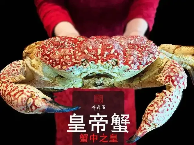 神奇海洋2月11日答案最新2025-以下哪种蟹天生就是红色的