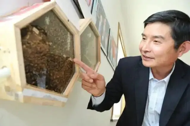 蚂蚁新村2月11日最新答案2025-给蜂蜜打分是以下哪种职业的主要工作