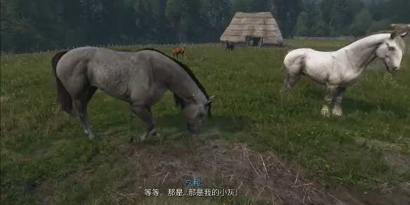 天国拯救2小灰怎么升级-天国拯救2小灰怎么升级介绍