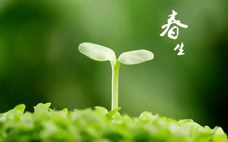 小鸡庄园2月18日答案最新2025-蚂蚁庄园今天的正确答案是什么