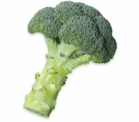 怪猎玩家超抽象捏脸走红，西蓝花屠龙引官方转发