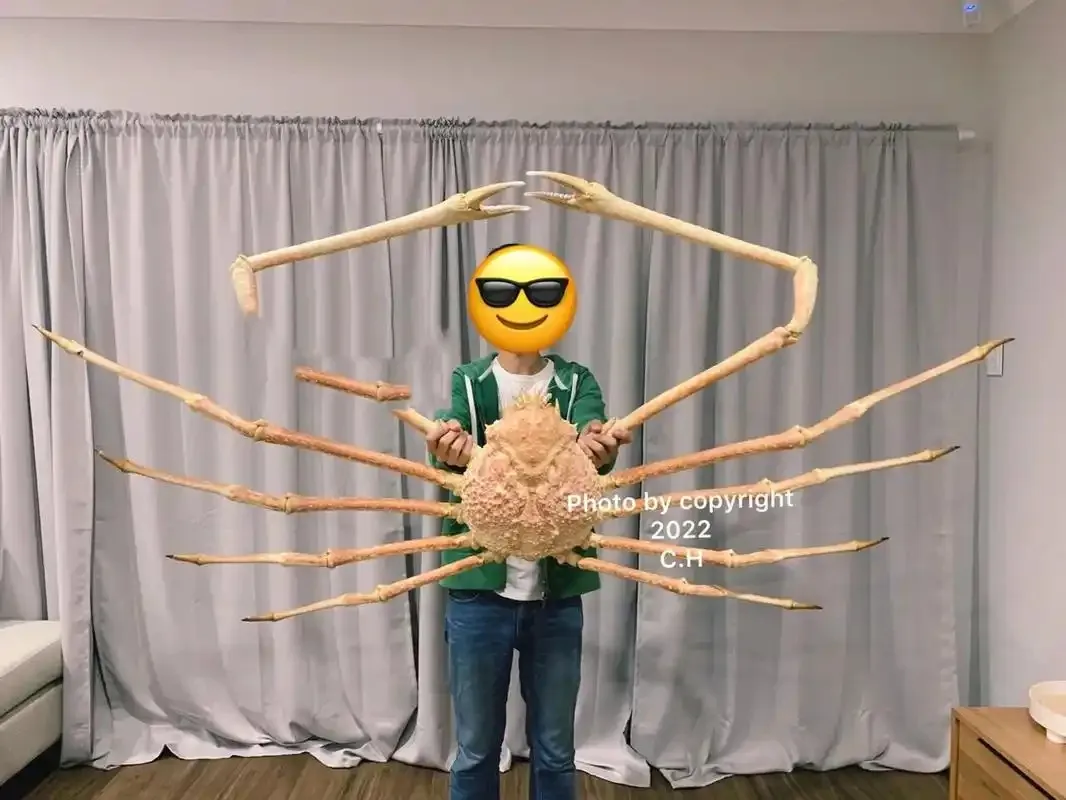 以下哪种蟹是巨螯蟹属现存唯一的品种-神奇海洋2月19日答案最新2025
