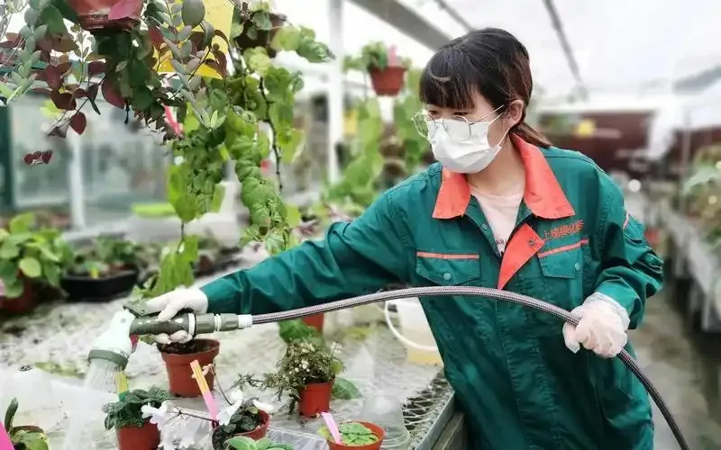 养一盆花造一方景是对以下哪种职业的描述-蚂蚁新村2月27日答案最新2025