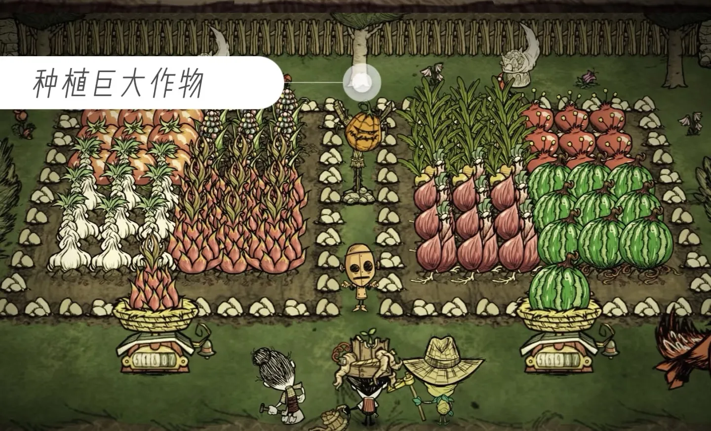 饥荒联机版手游什么时候上线 饥荒联机版手游上线的时间