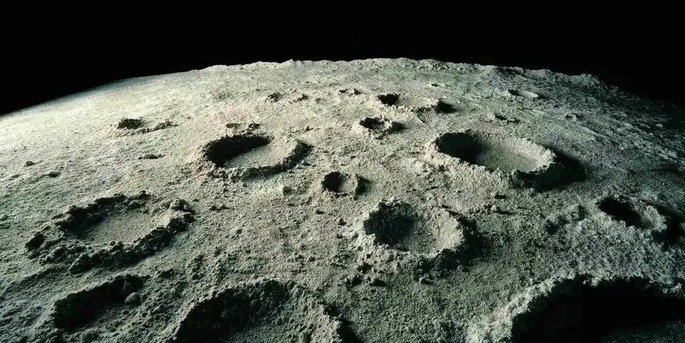 小鸡庄园3月2日答案最新2025-庄园小课堂今天答案最新