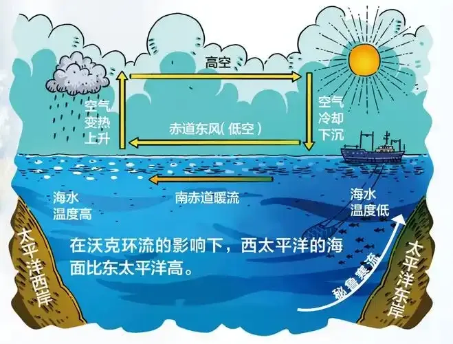 以下哪种现象会导致海洋表面温度升高-神奇海洋3月2日答案最新2025
