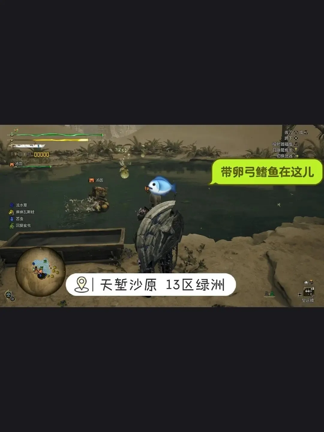 怪物猎人荒野钓鱼支线任务全位置-怪物猎人荒野巨大乌贼在哪刷