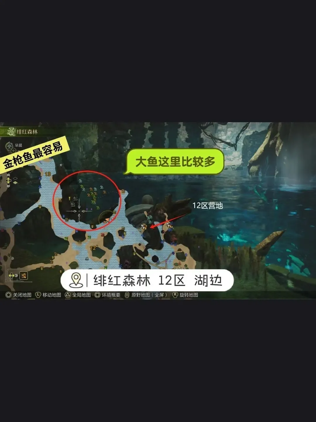 怪物猎人荒野钓鱼支线任务全位置-怪物猎人荒野巨大乌贼在哪刷