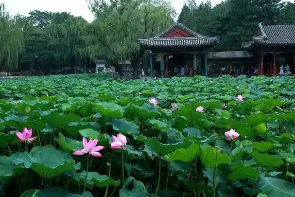 以下哪一项是浙江省级非物质文化遗产-蚂蚁新村3月5日答案最新2025