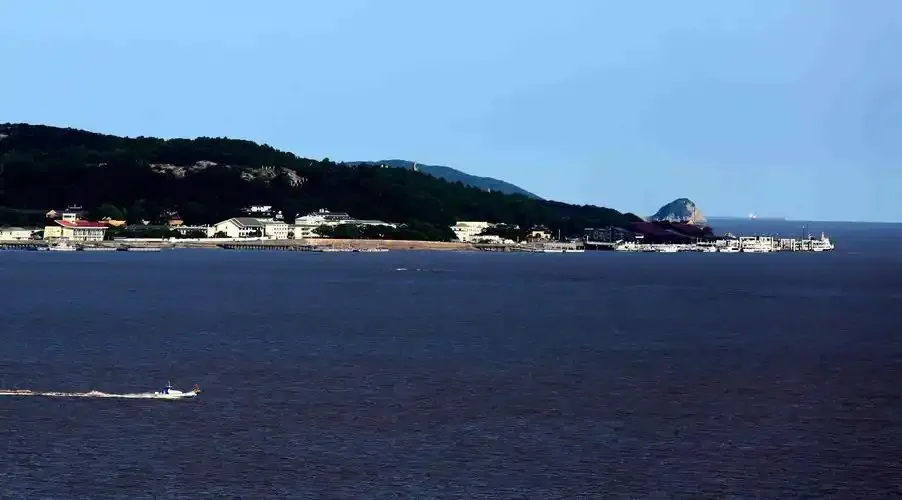 以下哪种海洋生态被誉为海底大花园-神奇海洋3月8日答案最新2025