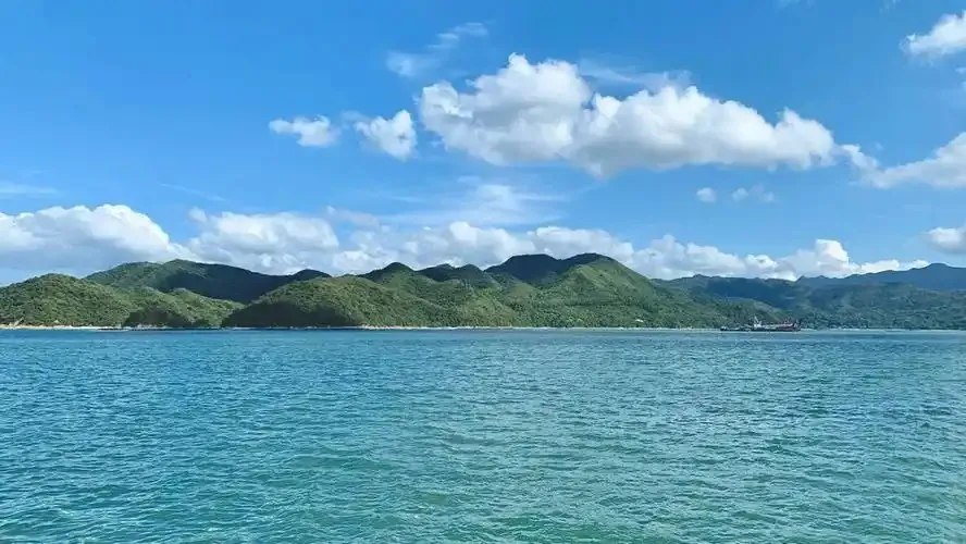 以下哪种海洋生态被誉为海底大花园-神奇海洋3月8日答案最新2025