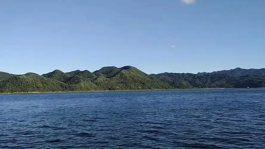 海山通常是在海面以下还是海面以上-神奇海洋3月9日答案最新2025