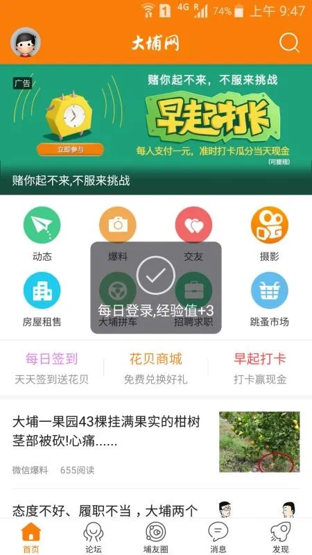 大埔网app下载-大埔网手机版 v3.8